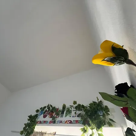 The Peppers Garden *