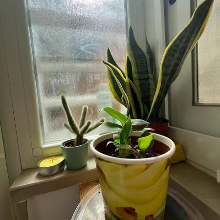 Nyaraló The Peppers Garden Bari