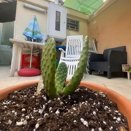 The Peppers Garden 펜션 *