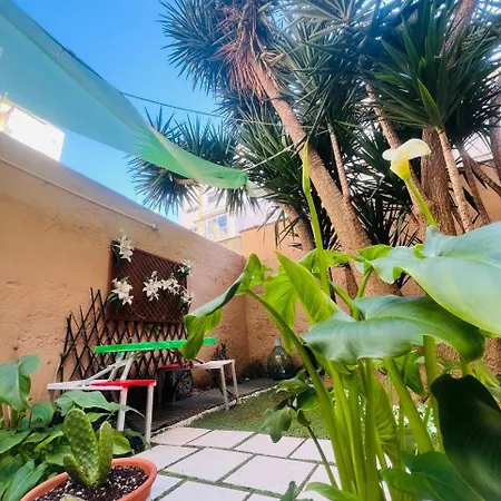 The Peppers Garden * בארי