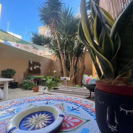 The Peppers Garden